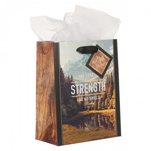 Gift Bag, Medium, Brown