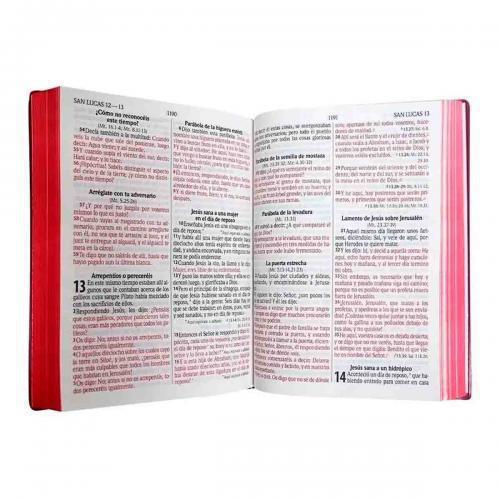 Giant RVR1960 Bible, Vinyl, Brown, Red Edges