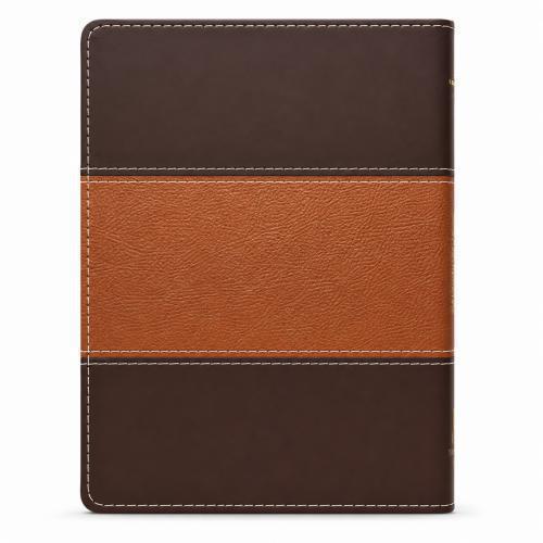 RVR1960 Imitation Leather Bible for Preaching, with Index, Two-Tone Brown