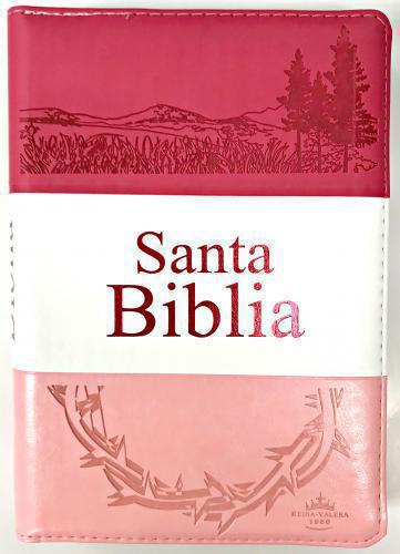 RVR1960 Bible, Large Print, Manual Size, with Zipper and Index, Imitation Leather,