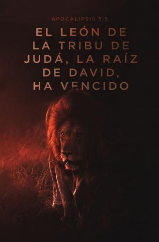 RVR1960 Bible, Compact Size, Hardcover, Lion Design