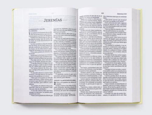 RVR60, Holy Bible, Prize and Gift, Large Print, Hardcover, Floral, Words