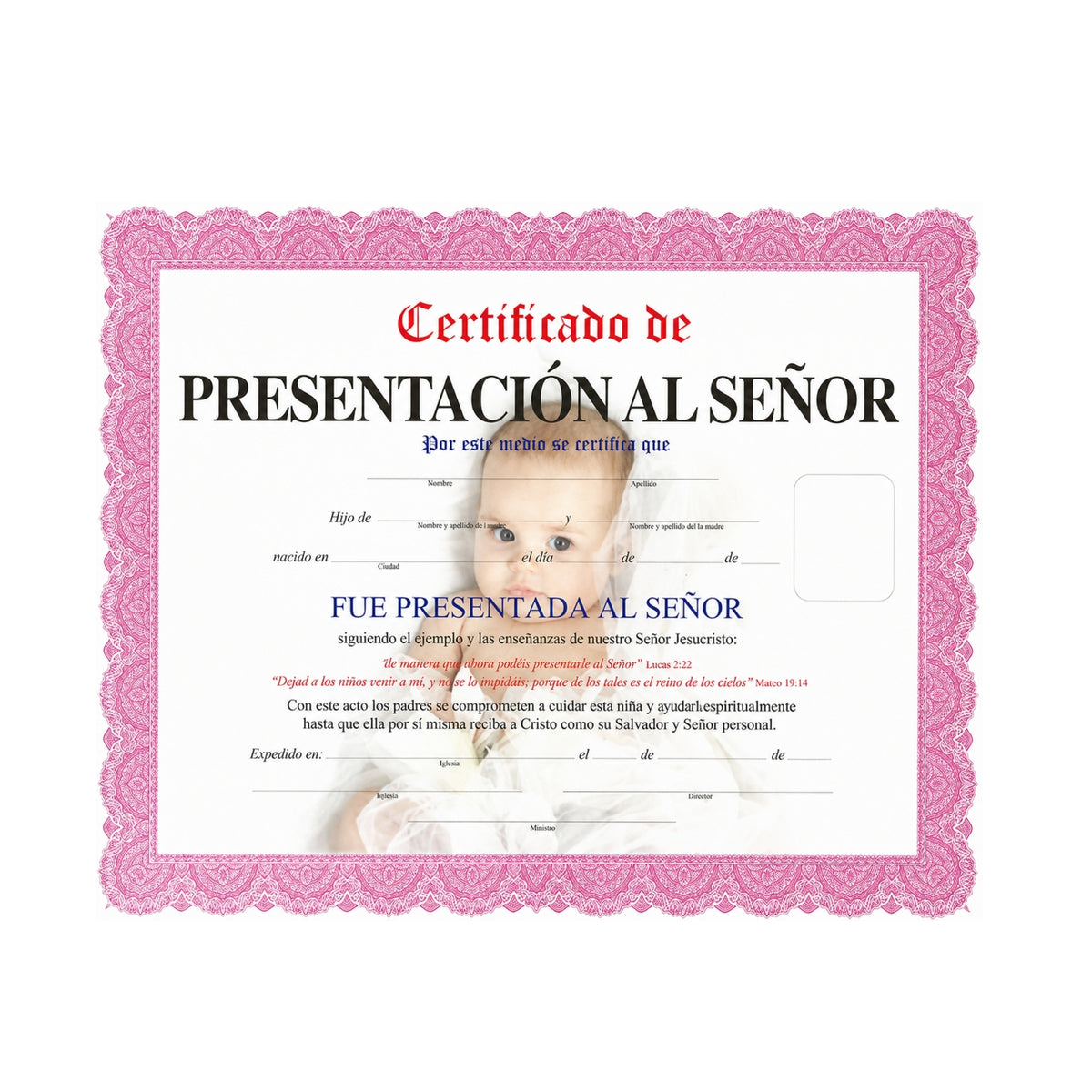 Certificate of Presentation to Mr. Pink for Girl