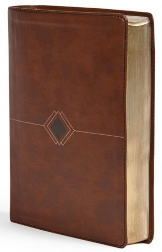 RVR 1960 Chronological Bible, Day-by-Day, Leathersoft, Gilt Edges