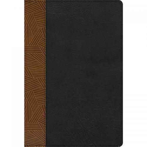 Rainbow Study Bible, RVR1960, Leathersoft, Tan/Black