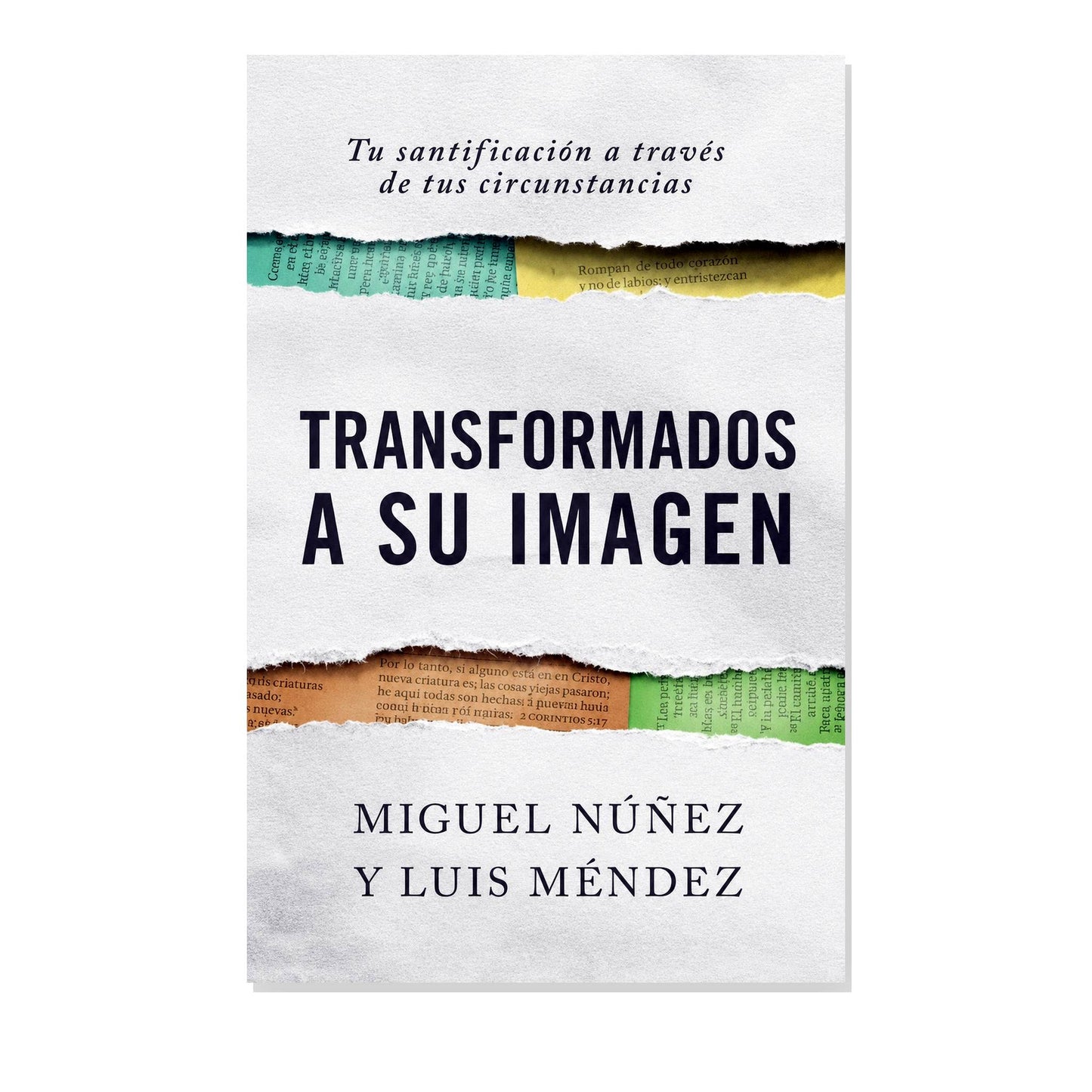 Transformados a su imagen por Miguel Nuñez y Luis Mendez