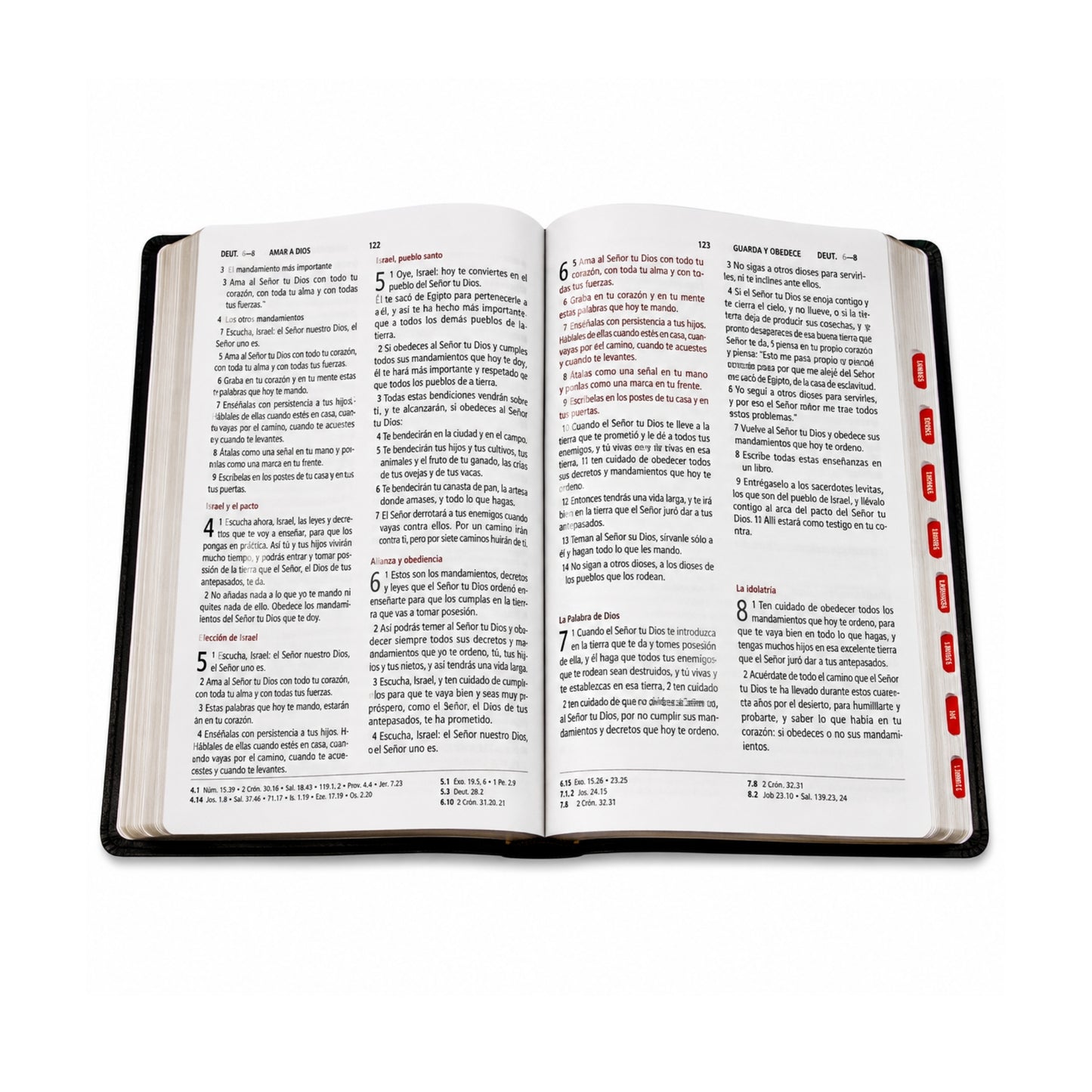 Biblia RVR1960 Imitación Piel, Tamaño Supergigante con Indice, Color Negro
