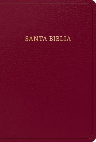 RVR1960 Manual Size Bible, Imitation Leather, Burgundy, Large Print