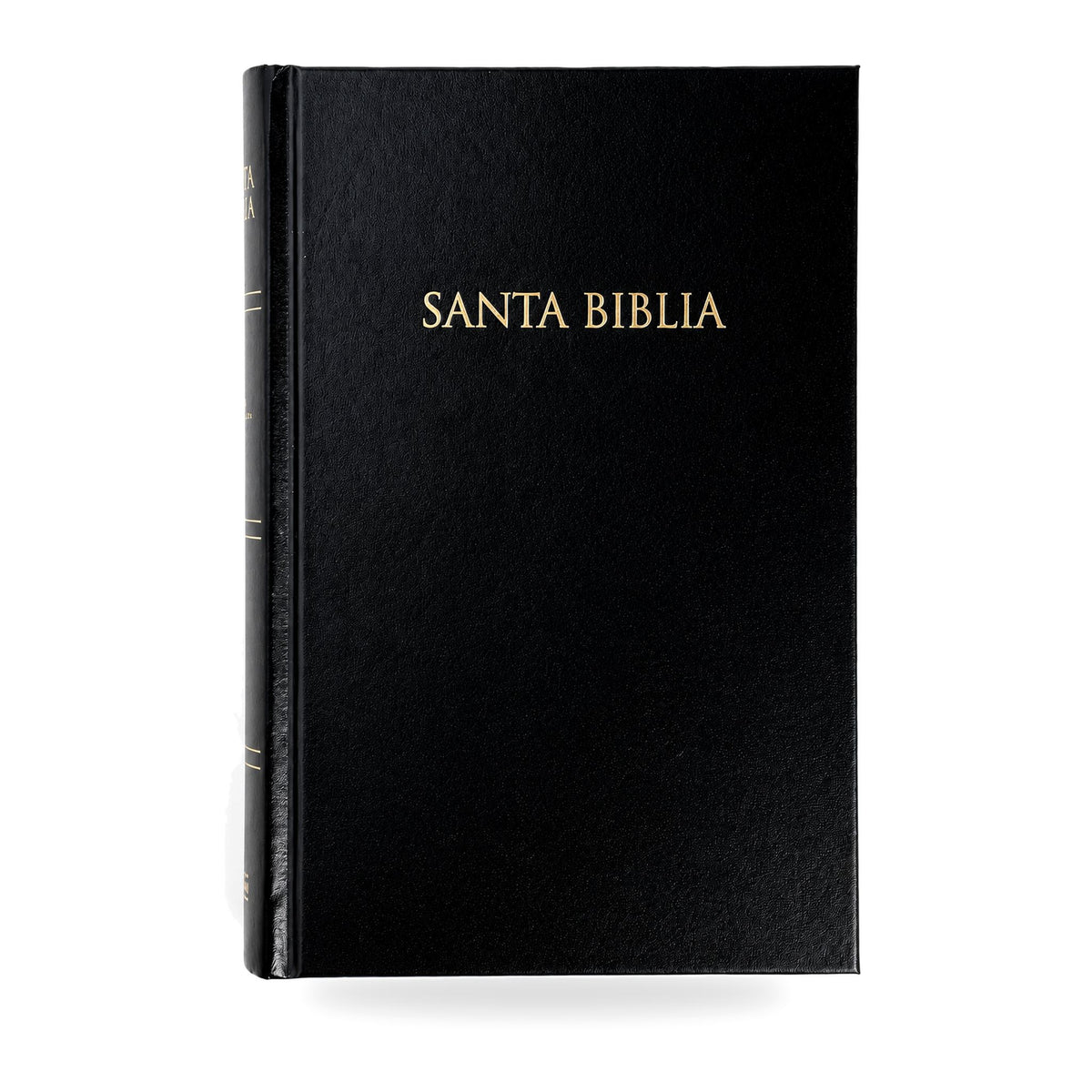 RVR60 Bible Gifts and Awards Hardcover Black