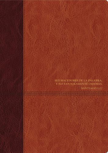 RVR60 Bible Daily Living Study Special Brown Leather with Index
