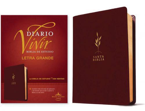 RVR60 Daily Living Study Bible, Large Print Burgundy Red Letter