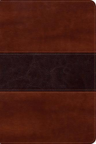RVR 1960 Fisherman's Bible, large print, mahogany imitation leather
