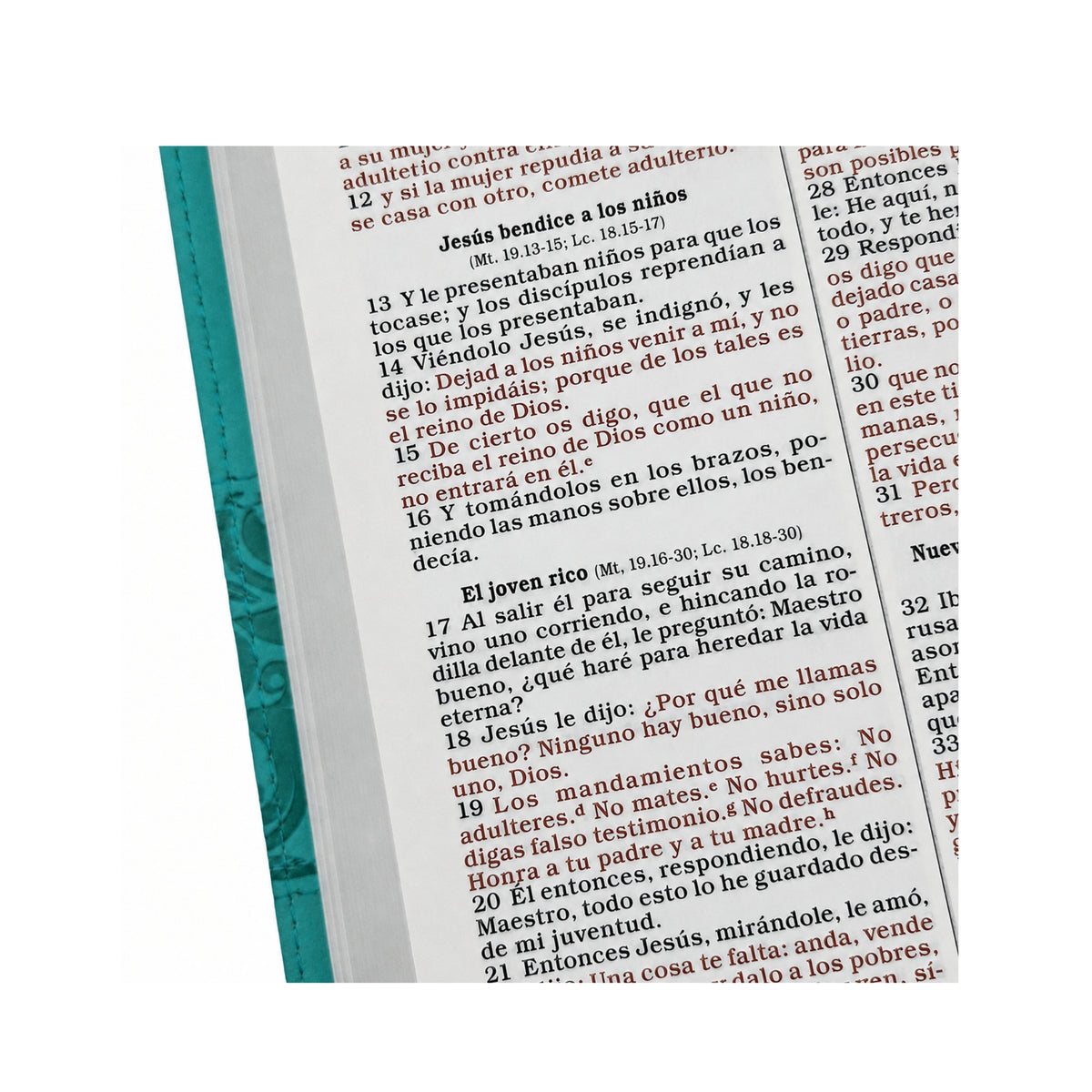RVR1960 Bible Gifts & Awards Imitation Leather Turquoise Blue