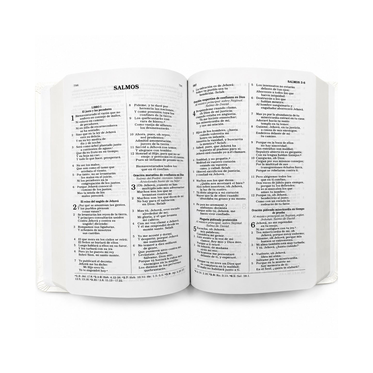 RVR 1960 Bible for gifts and awards, white, imitation leather