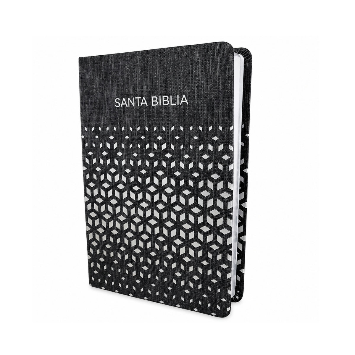 RVR1960 Bible Gifts & Awards Black Silver Leatherflex