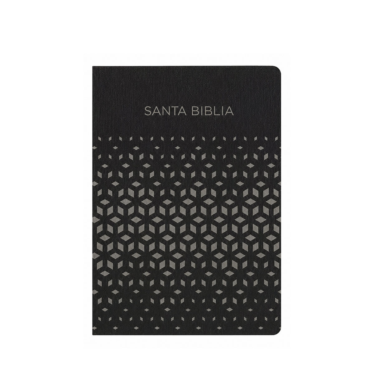 RVR1960 Bible Gifts & Awards Black Silver Leatherflex