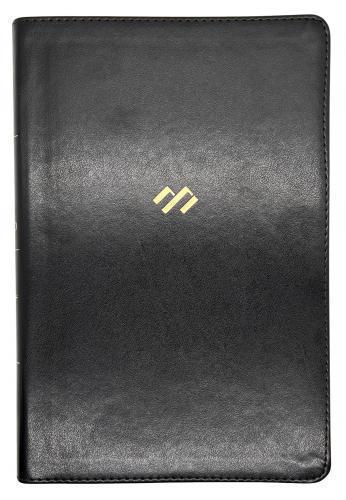 Reina Valera 1960 Thematic Study Bible, Black, Imitation Leather