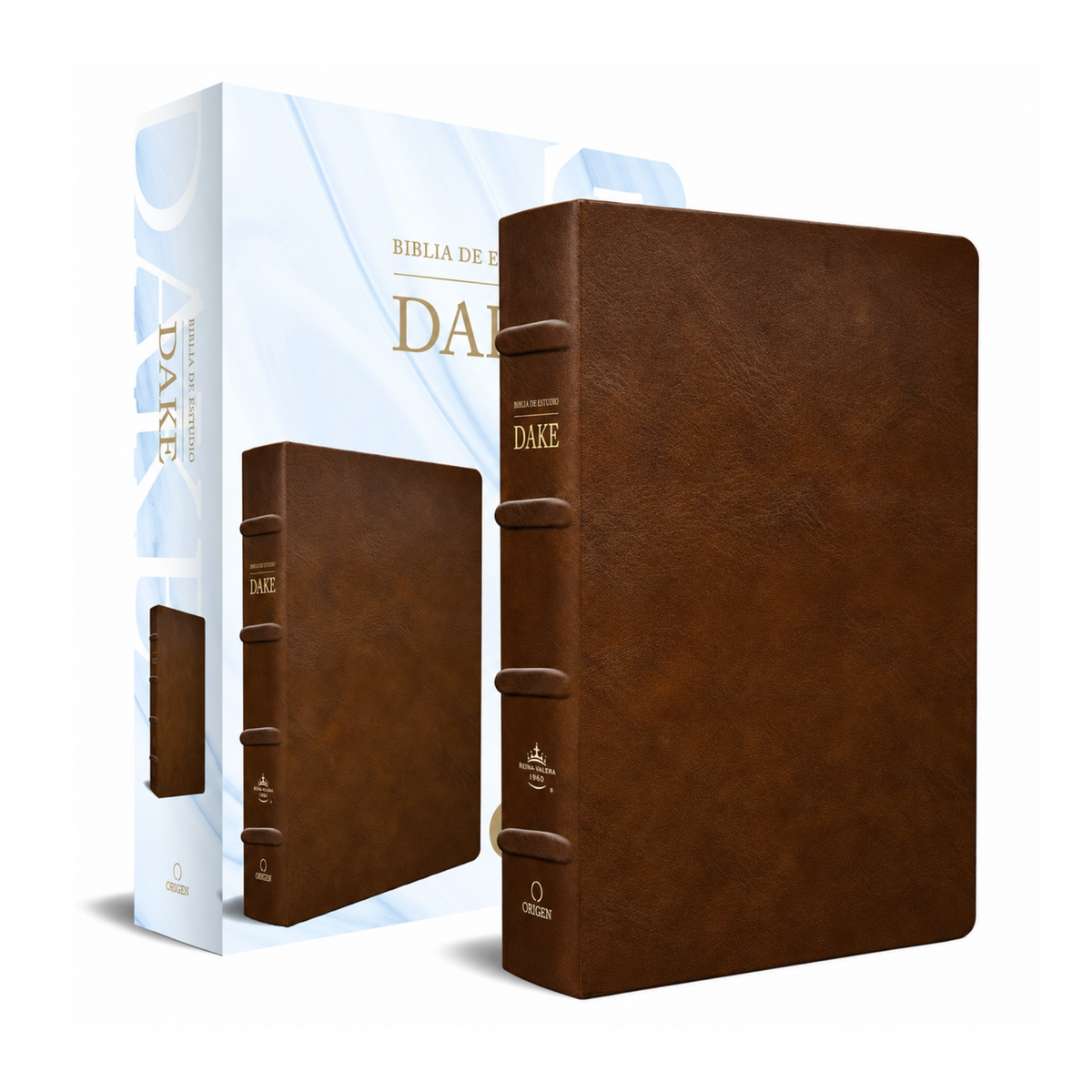 RVR1960 Dake Study Bible, Imitation Leather, Brown
