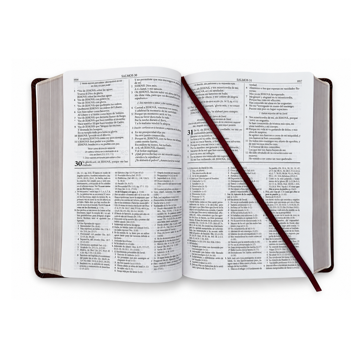 RVR1960 Dake Study Bible, Imitation Leather, Brown