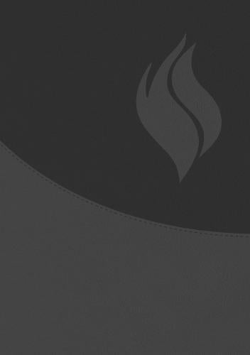 Biblia Reina Valera 1960, Imitación Piel, Vida Plena Ampliada, Color Negro