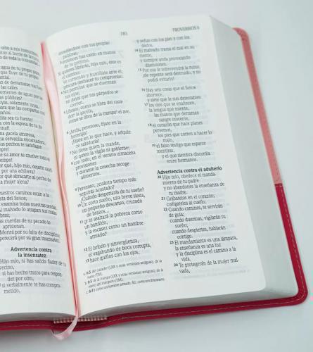 NIV Bible, Compact, Leathersoft, Pink
