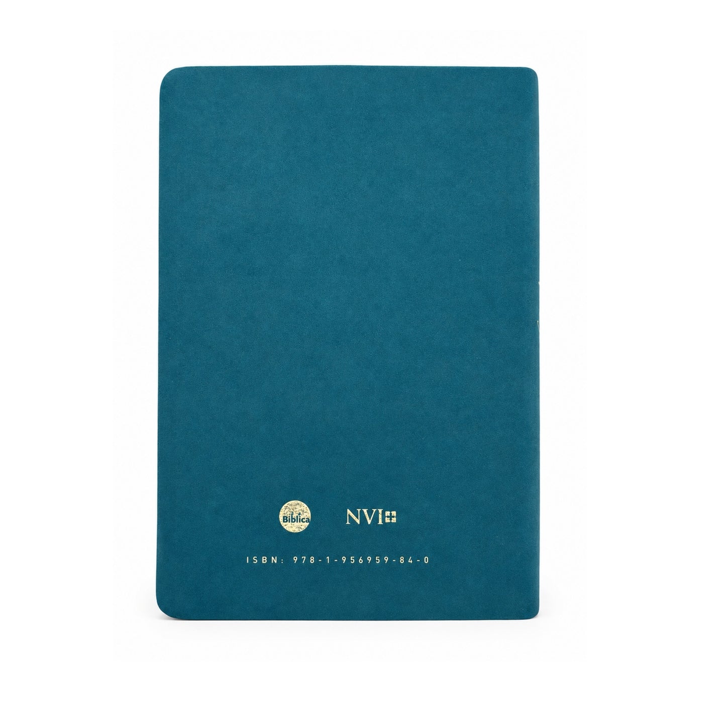 Biblia de estudio Temas cotidianos para mujeres de piel