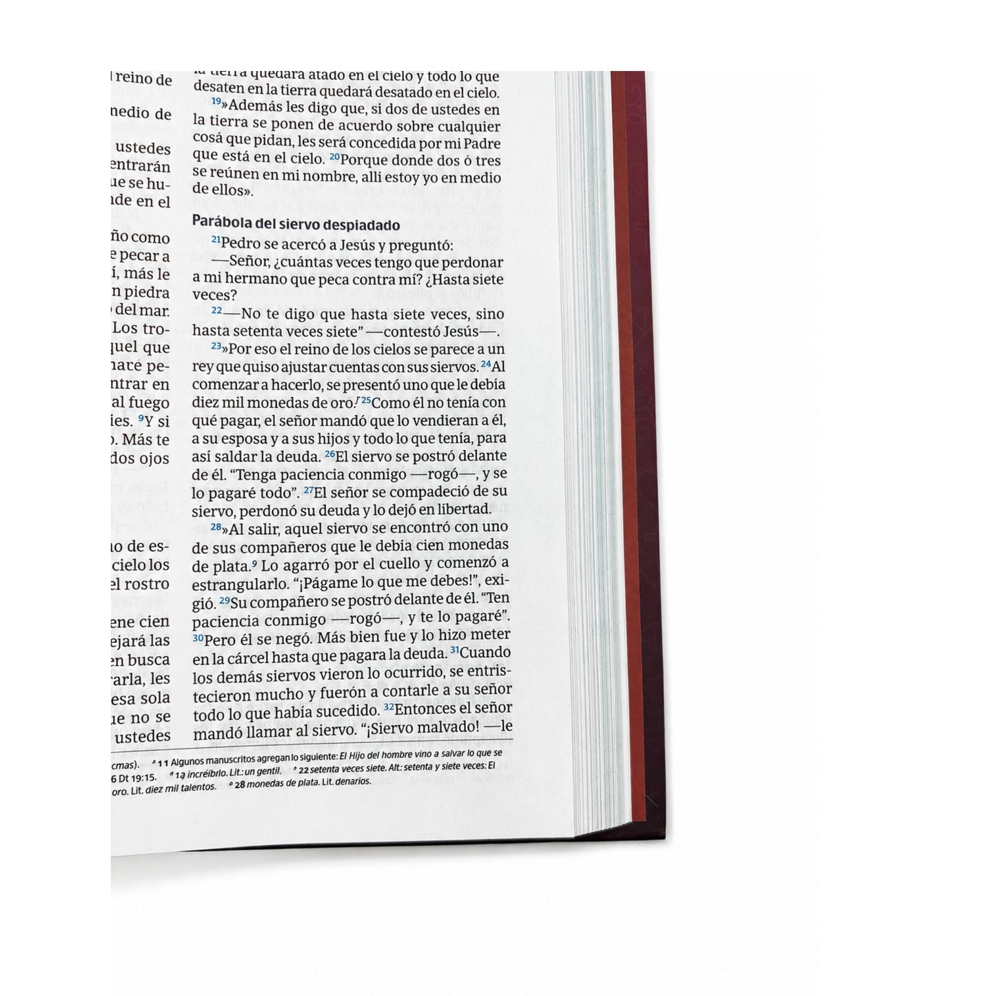 Biblia NVI de temas cotidianos para mujeres