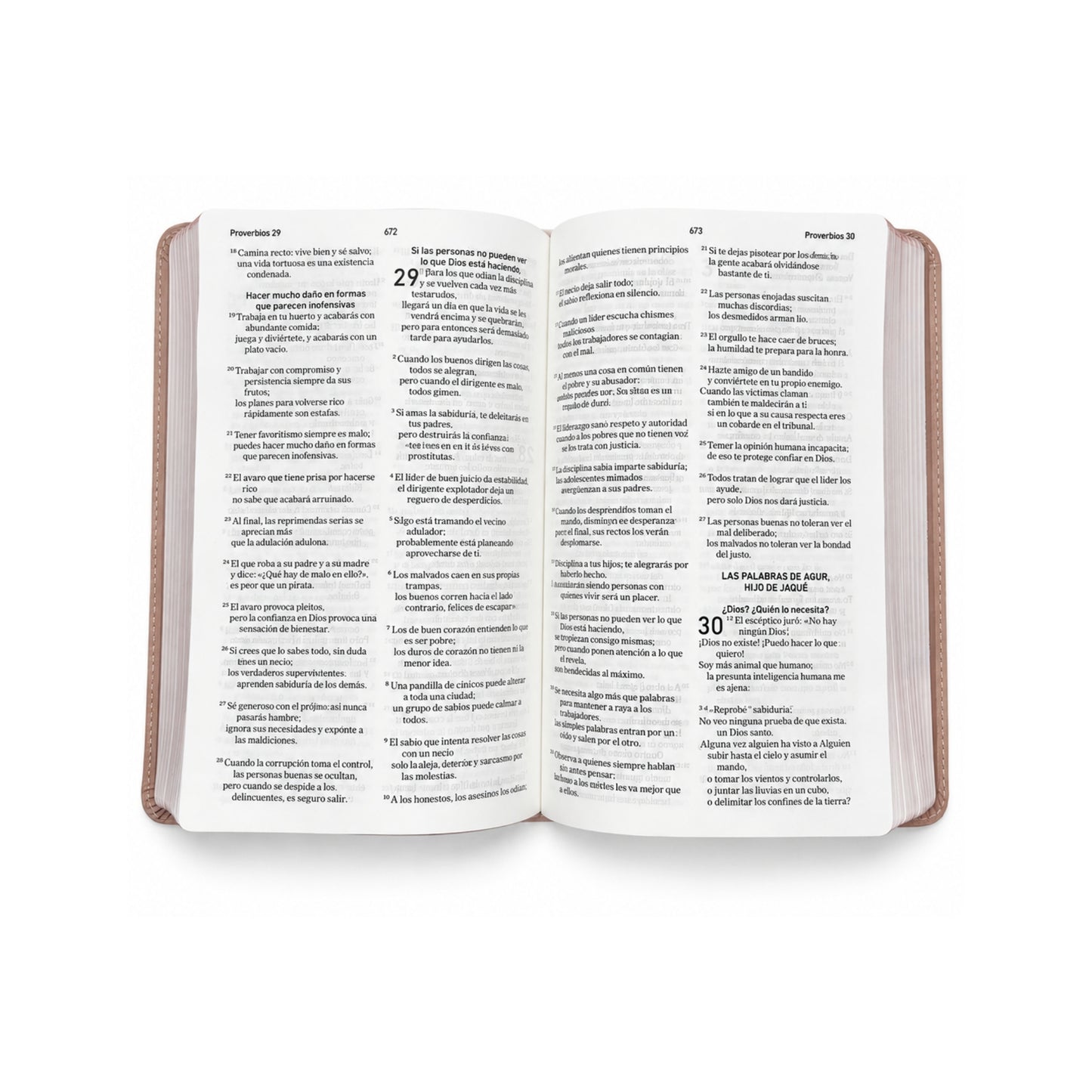 Biblia El Mensaje SentiPiel: La Biblia en un lenguaje claro y profundo
