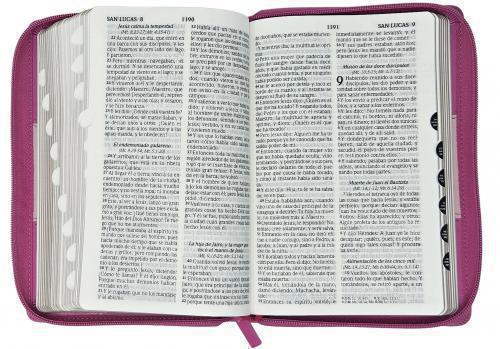 RVR1960 Manual Size Bible, Tri-color Imitation Leather, Zipper and Index