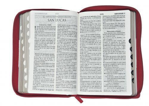 RVR1960 Manual Size Bible, Imitation Leather, Tri-Color, Zippered with Tabs