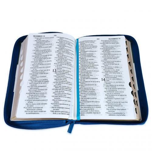 RVR1960 Manual Size Bible, Imitation Leather, Tri-Color, Zippered with Tabs