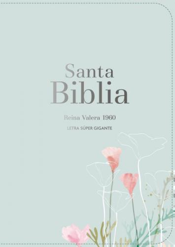 RVR 1960 Bible, Super Giant Print, Imitation Leather, Mint