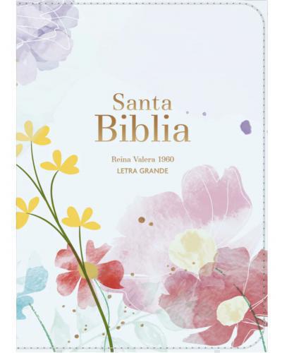 Compact Reina Valera 1960 Bible, Light Blue, Large Print