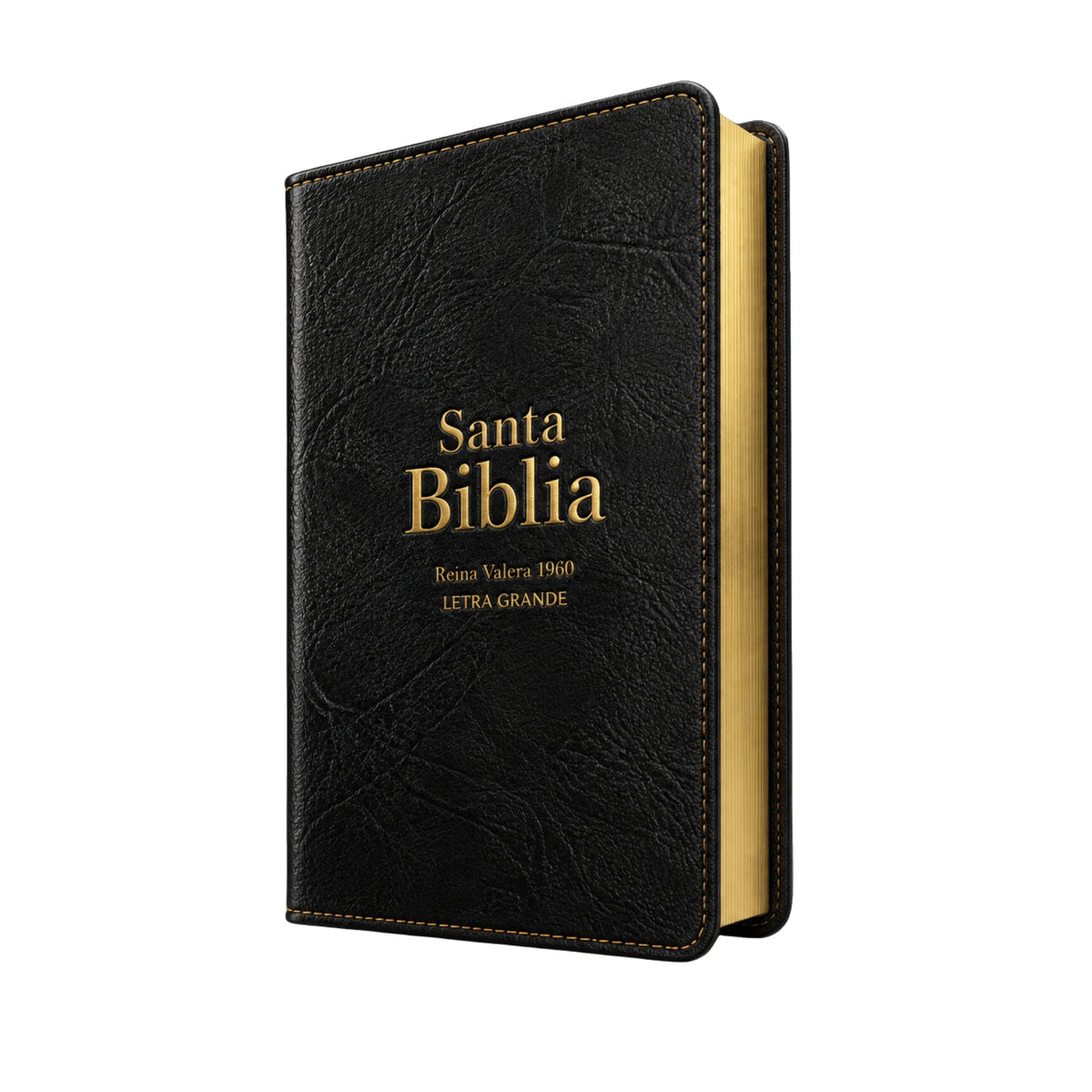 Biblia RVR1960 Letra Grande 12 Puntos Negro | Manual