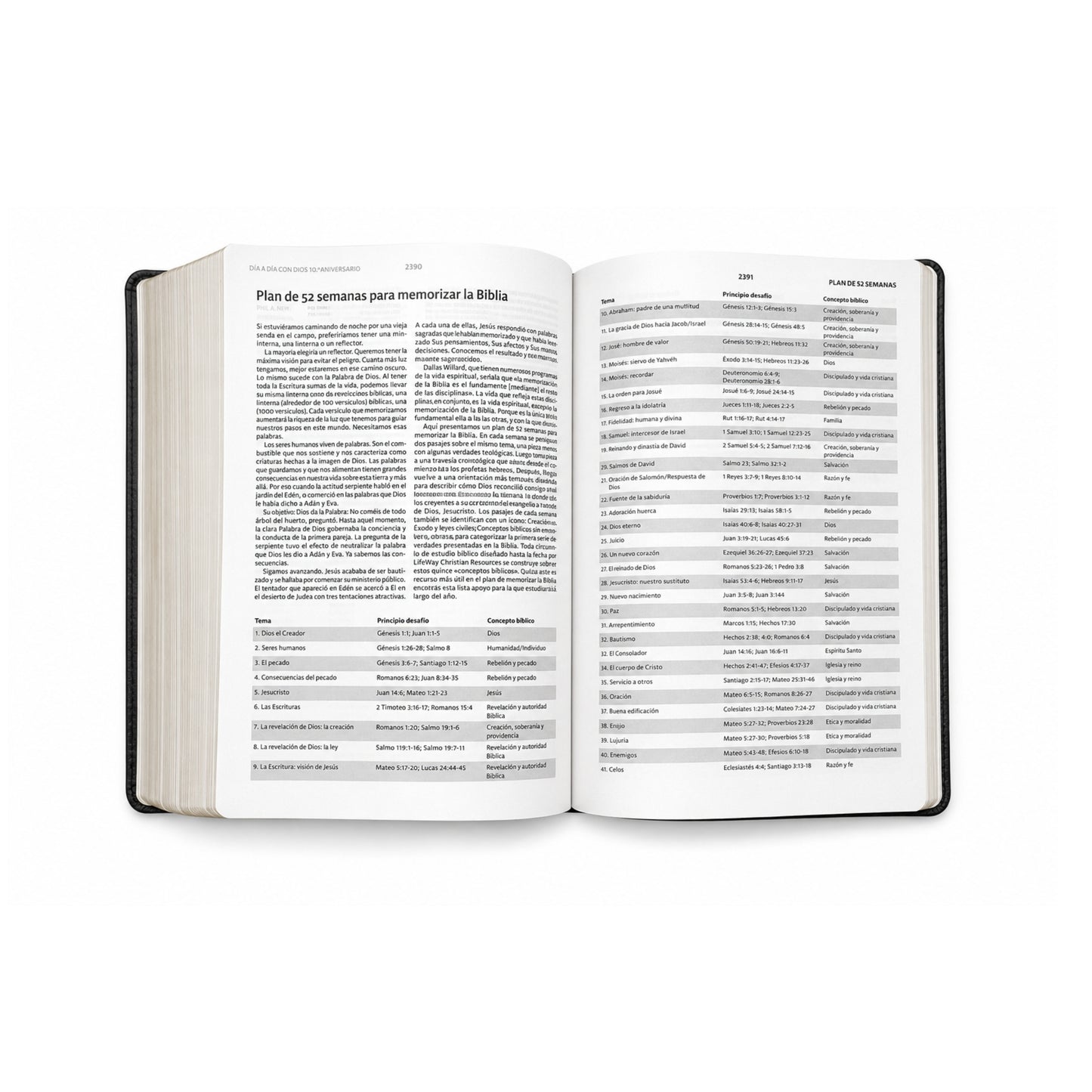 RVR 1960 Biblia de estudio letra gigante, negro, símil piel
