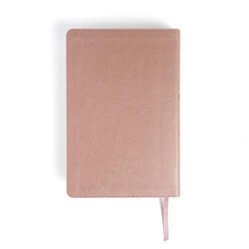 RVR1960 Bible, Giant Print, Imitation Leather, Pearl Pink