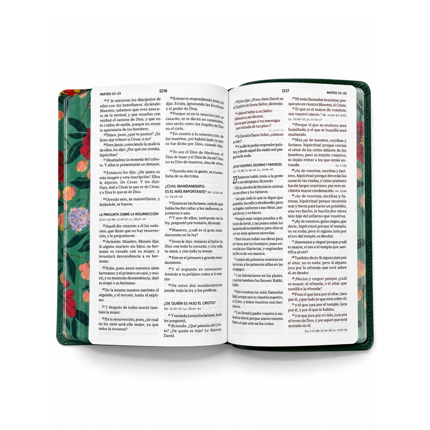 Reina Valera 1960 Biblia letra grande, tamaño manual, edición especial, verde