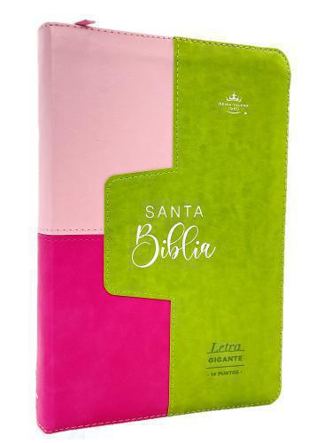 RVR1960 Bible, Imitation Leather, Handy Size, Large Print, Zippered with Tabs