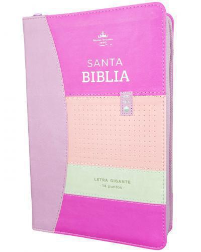 RVR1960 Bible, Imitation Leather, Handy Size, Large Print, Zipper and Index, Lil