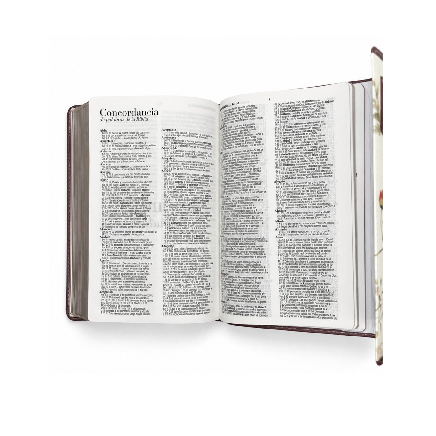 Biblia RVR 1960 Exquisita Mariposas en Primavera