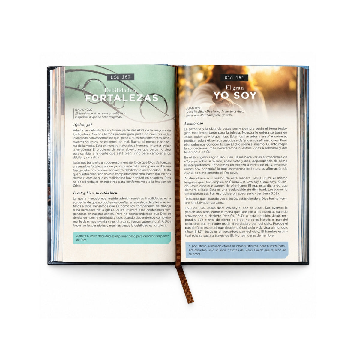 365 Devocionales para hombres por Matt Erickson y Tammy Drolsum