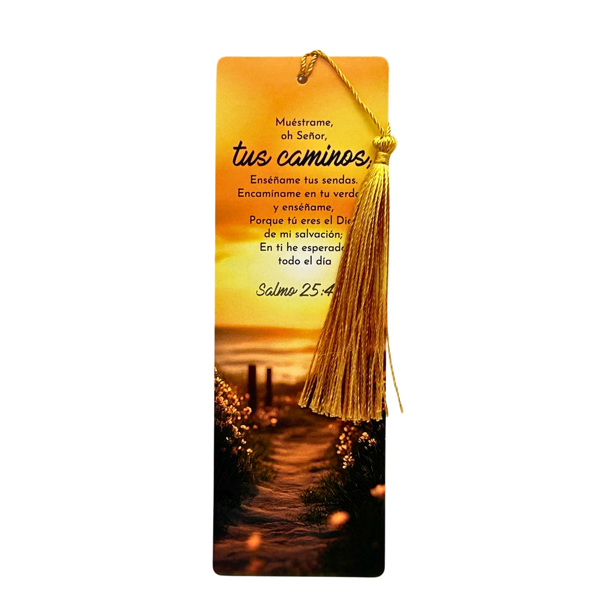Separador Individual - Muéstrame tus caminos