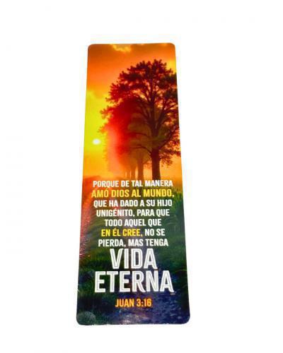 30-Pack Translucent Dividers; Eternal Life