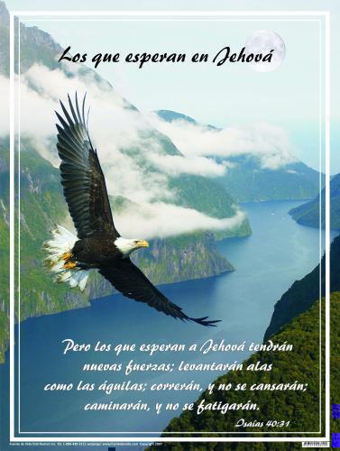 Poster Los Que Esperan En Jehova
