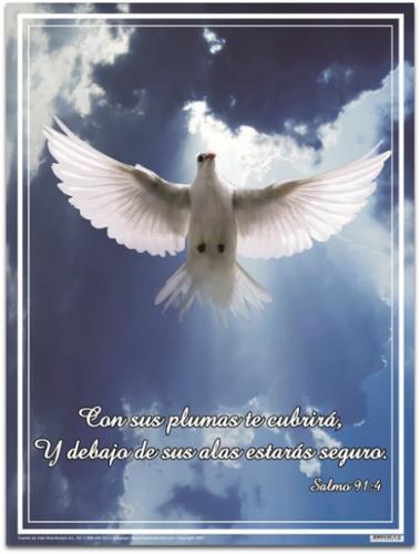 Poster Con Sus Plumas Te Cubrira Salmo 91:4