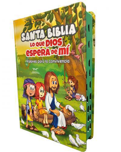 Contemporary Reina-Valera Bible (RVC), Hardcover, Handy Size, What God and