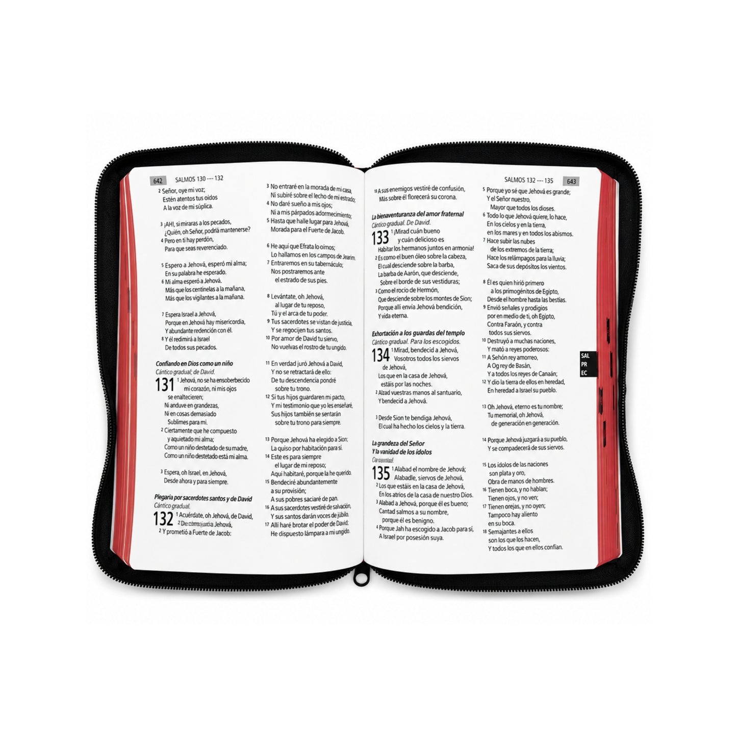 Biblia Letra Grande, Palabras de Jesús en rojo, con concordancia