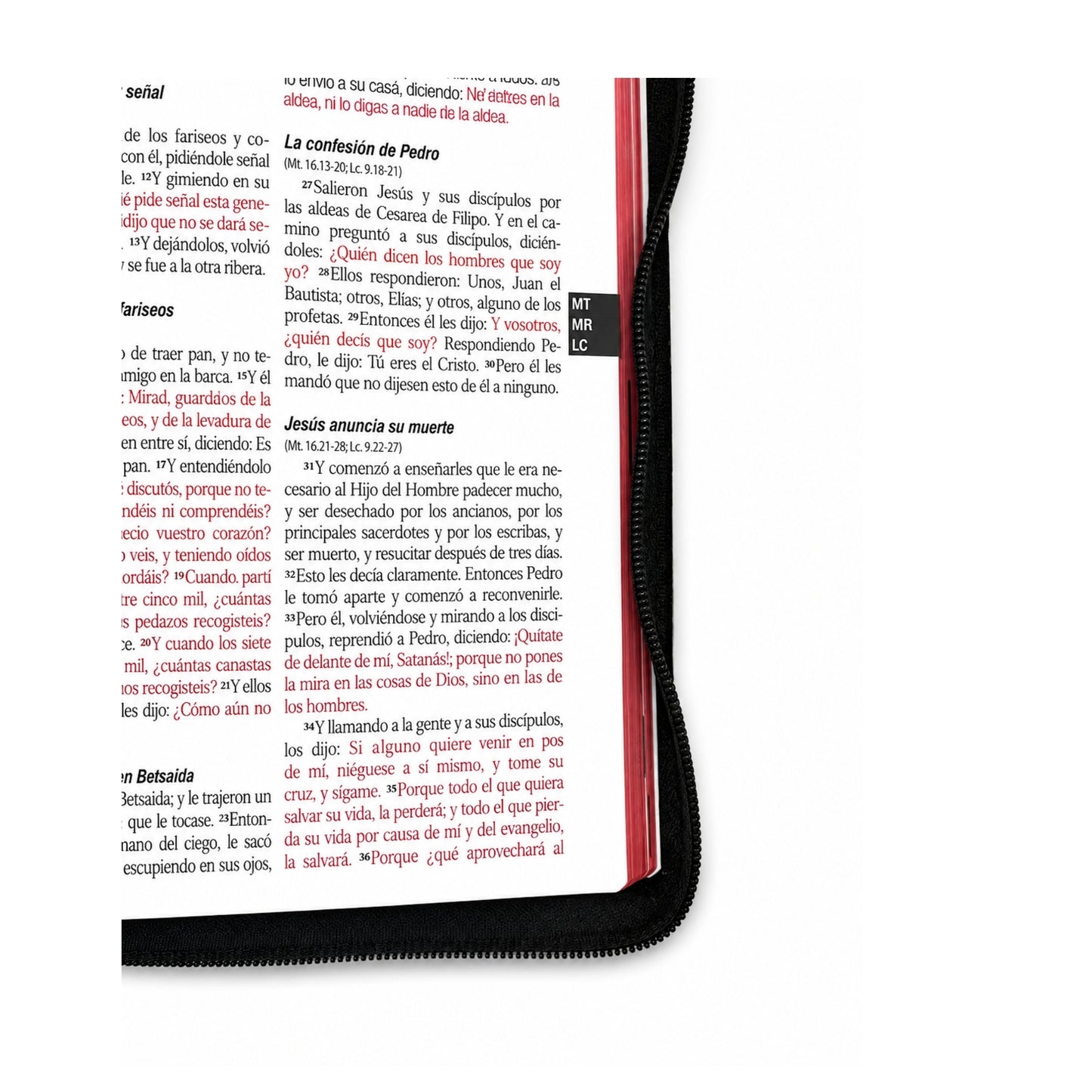 Biblia Letra Grande, Palabras de Jesús en rojo, con concordancia