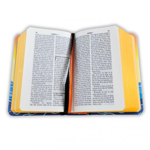 Reina Valera 1960 Bible, Hardcover, Mini Pocket Size, Ark for Children