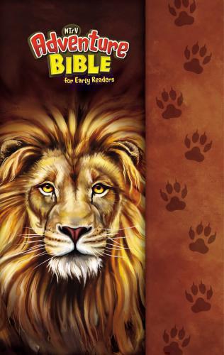 Biblia NIRV Adventure Pasta Dura Con Broche e Iman
